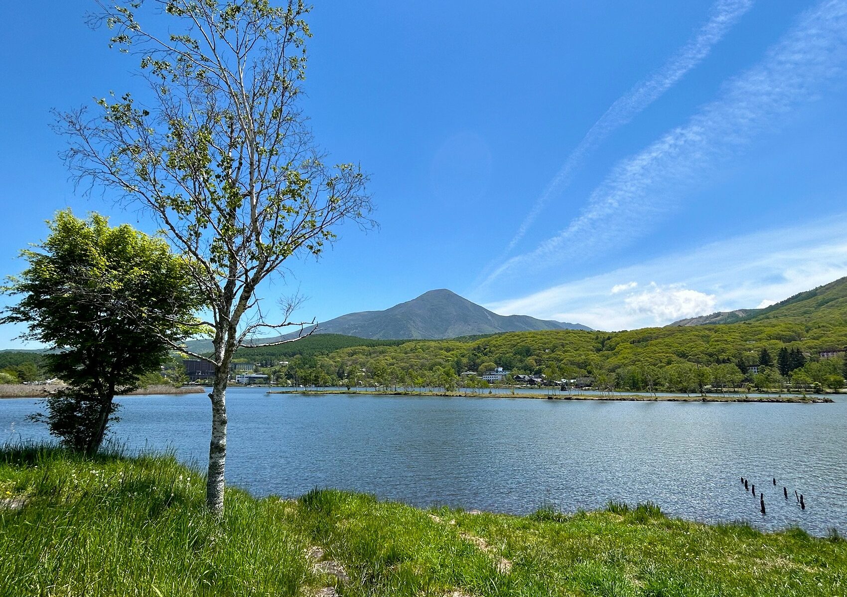 白樺 湖 周辺 ランチ (96) 사진