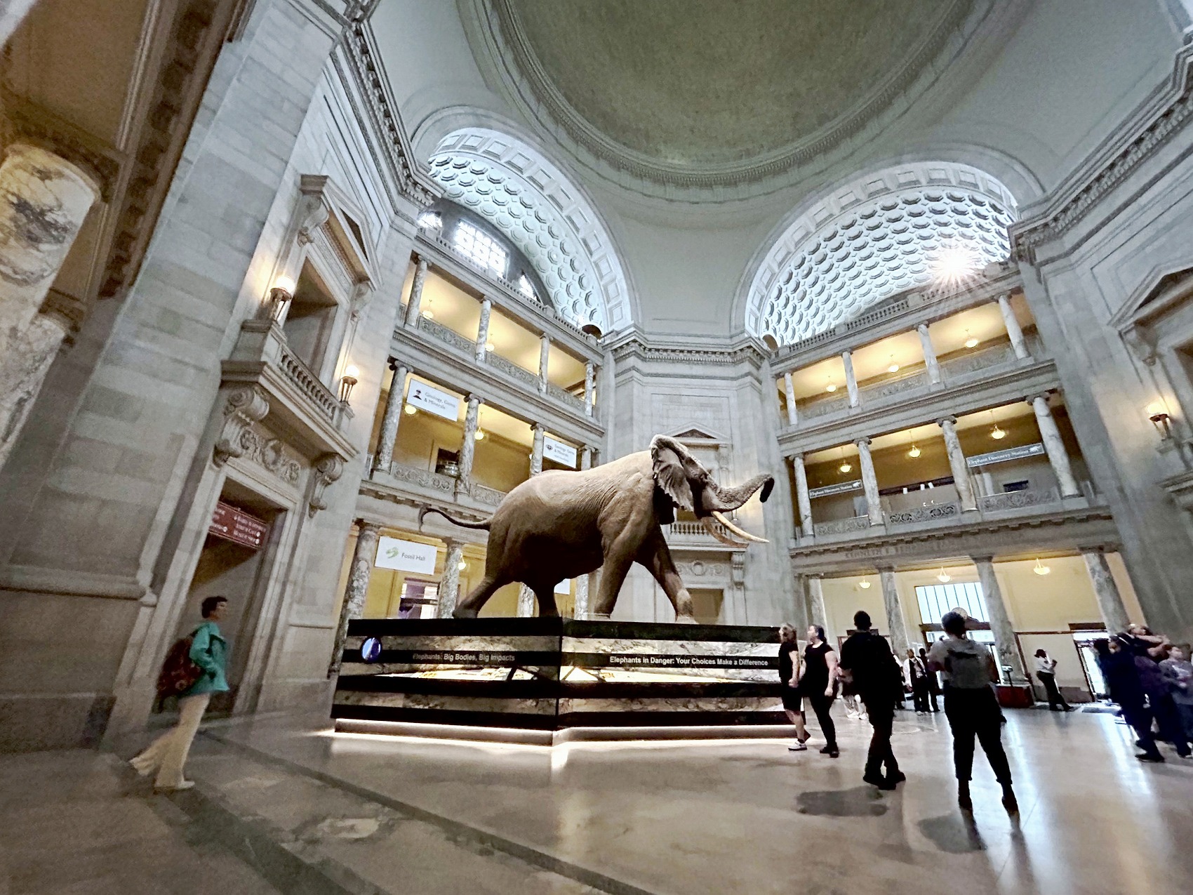 ワシントンDC旅5：スミソニアン①【国立自然史博物館】へ