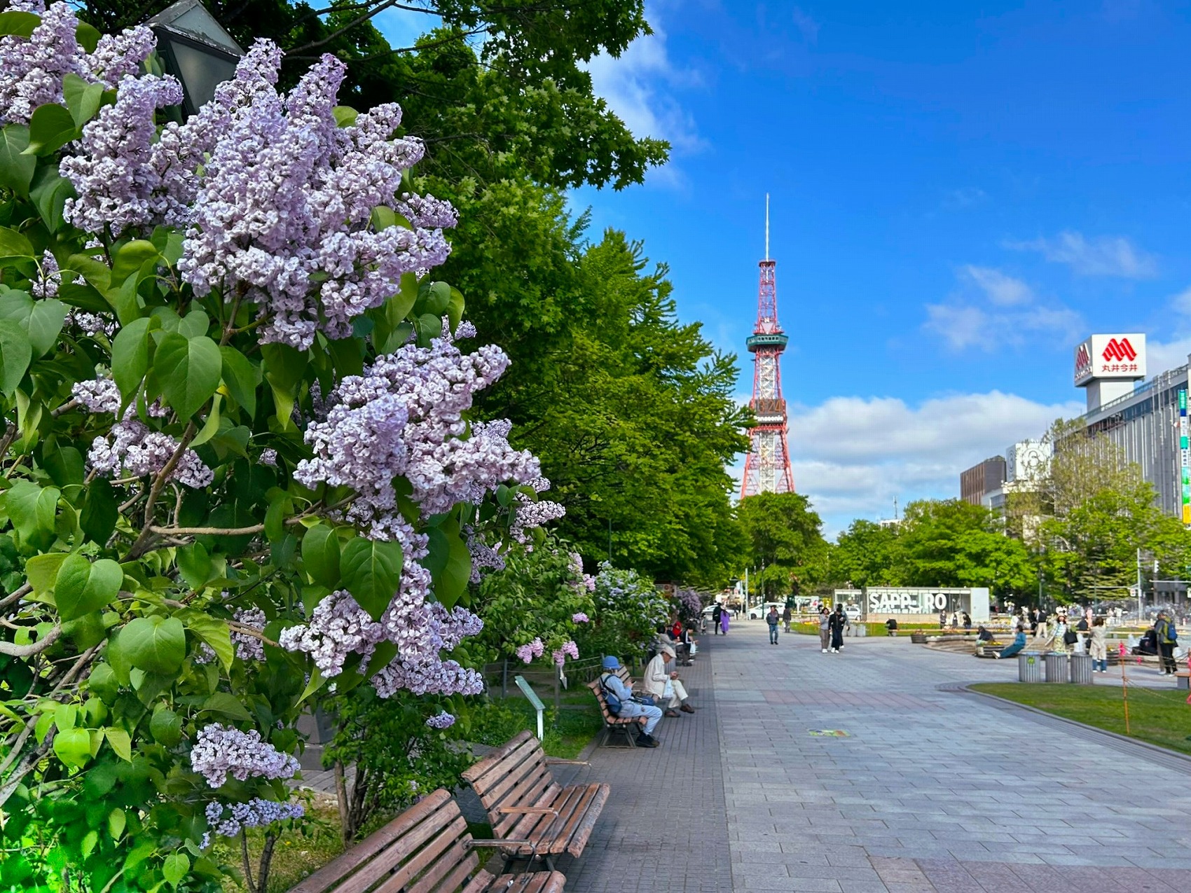 札幌旅2・街歩き＆グルメ①～大通公園ライラックまつり