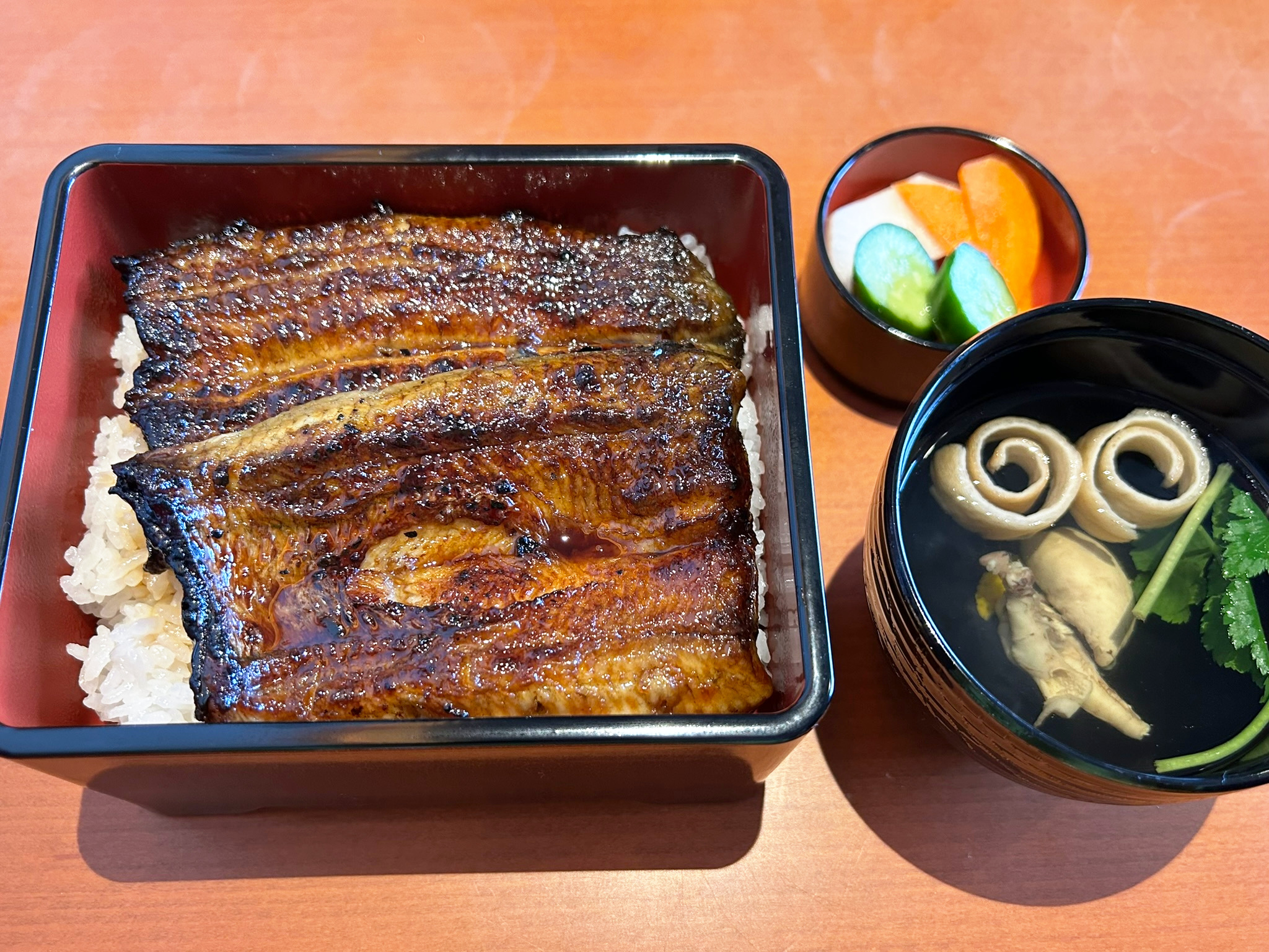 浜名湖旅：過去イチ美味しいうな重に出会う♡