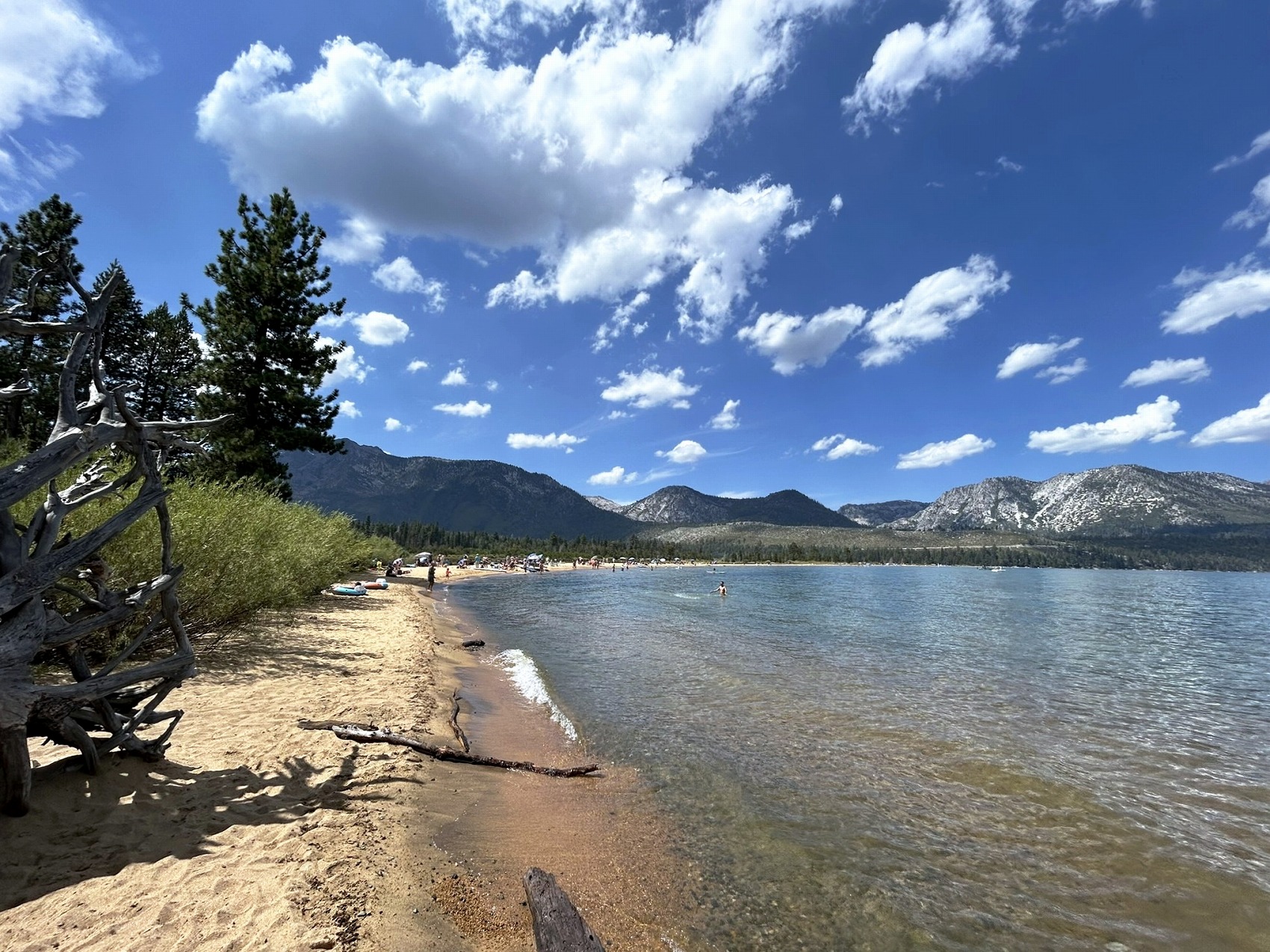 レイクタホ・展望スポットと湖畔周辺散策、かわいい動物たち：カリフォルニア旅9